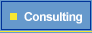 Consulting Services